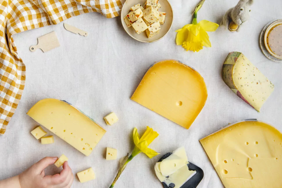 Tosti’s, nacho’s of salade: dit is de beste kaas voor jouw zomersnack.