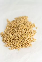 Pine nuts
